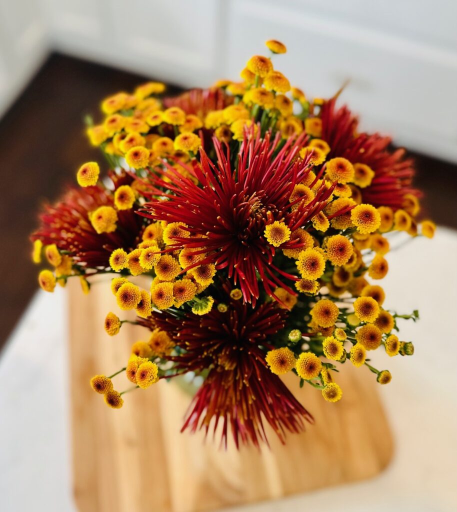 yellow pompom and red quill chrysanthemums