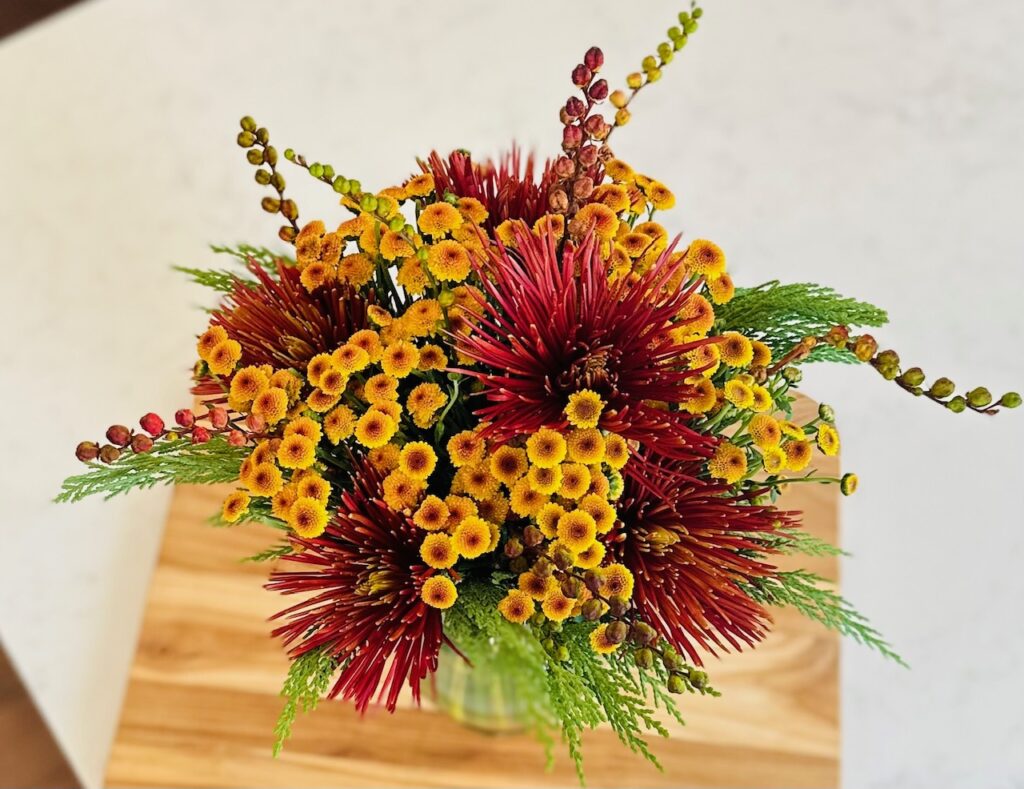 Red and yellow mums, autumn