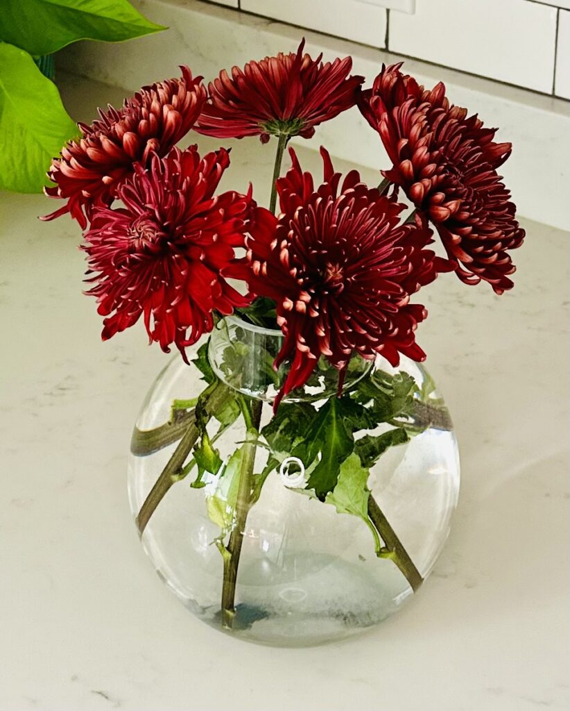 Red Mums