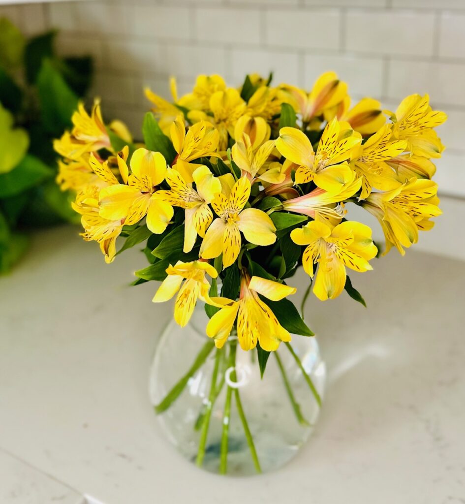 yellow peruvian lilies
