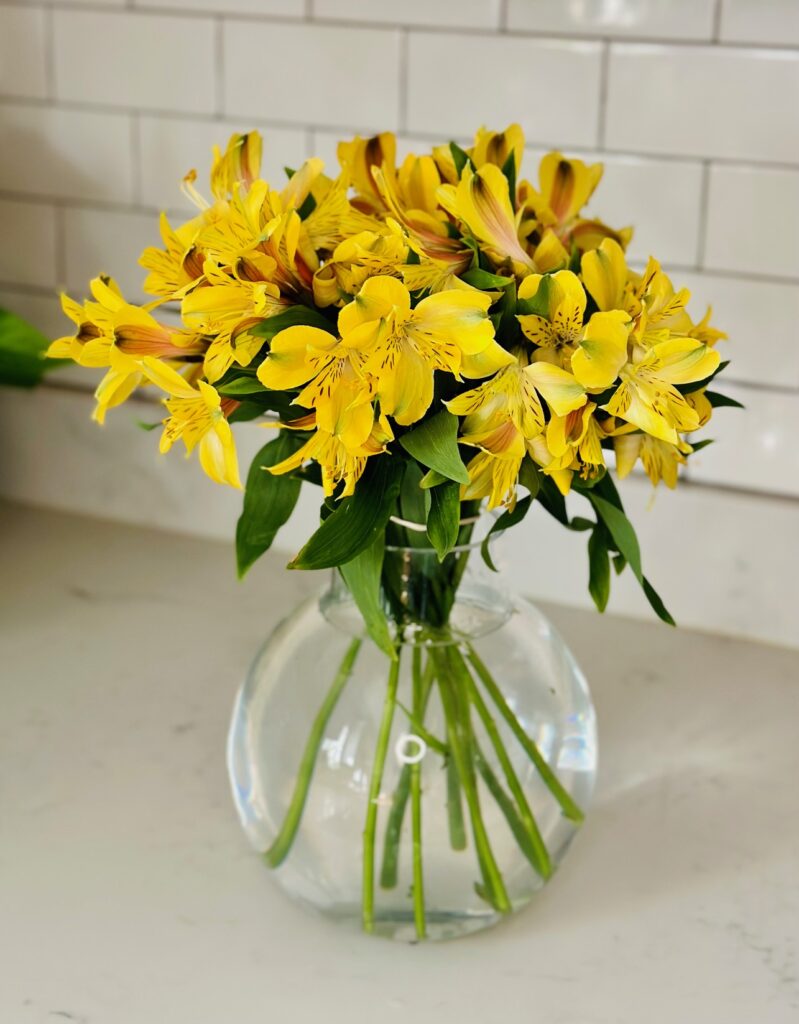 yellow Peruvian lilies