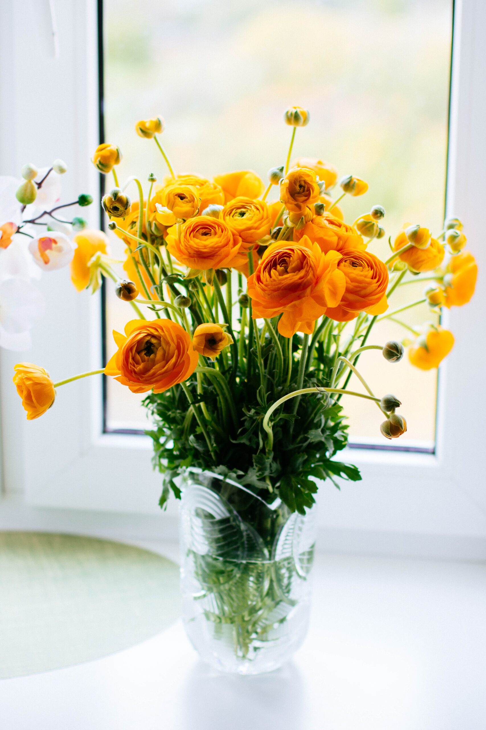 orange ranunculus vase