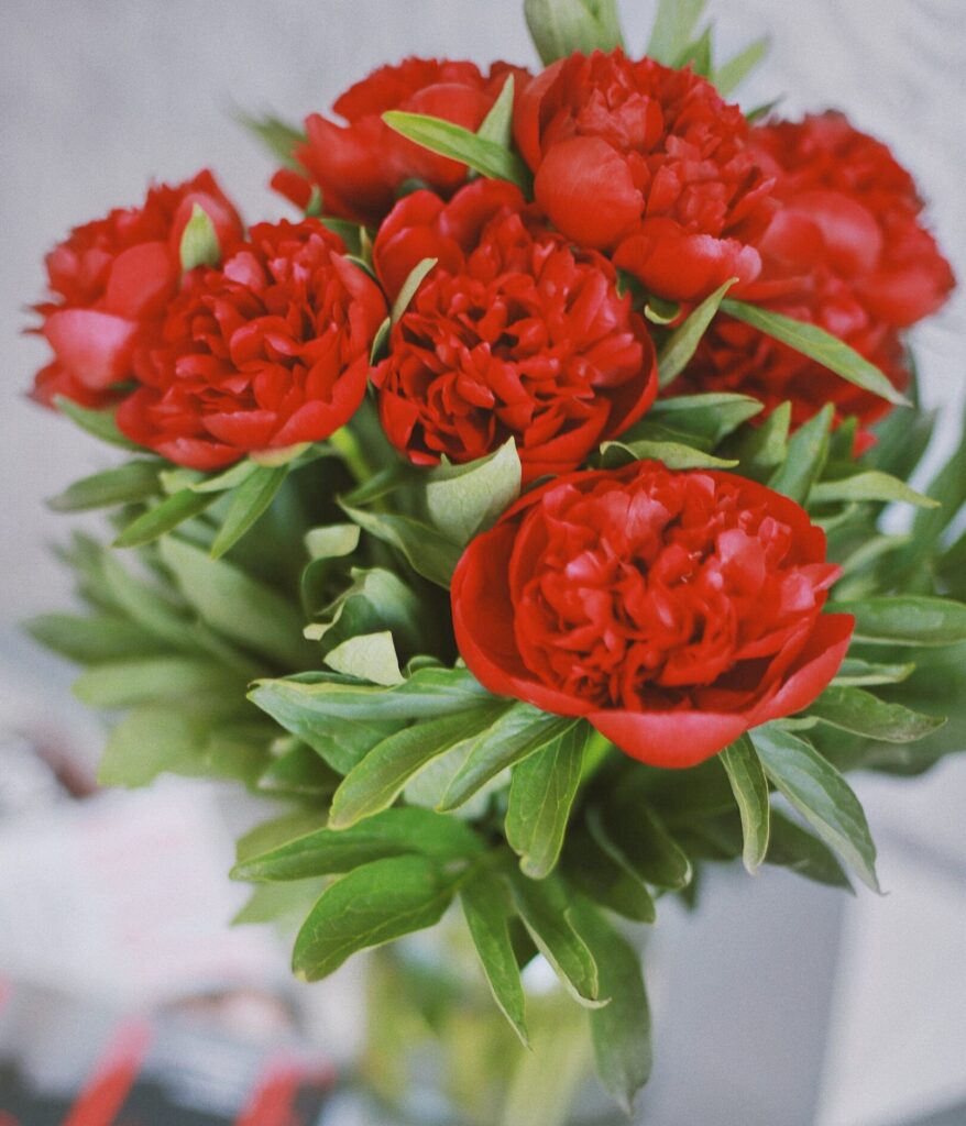 red flowers