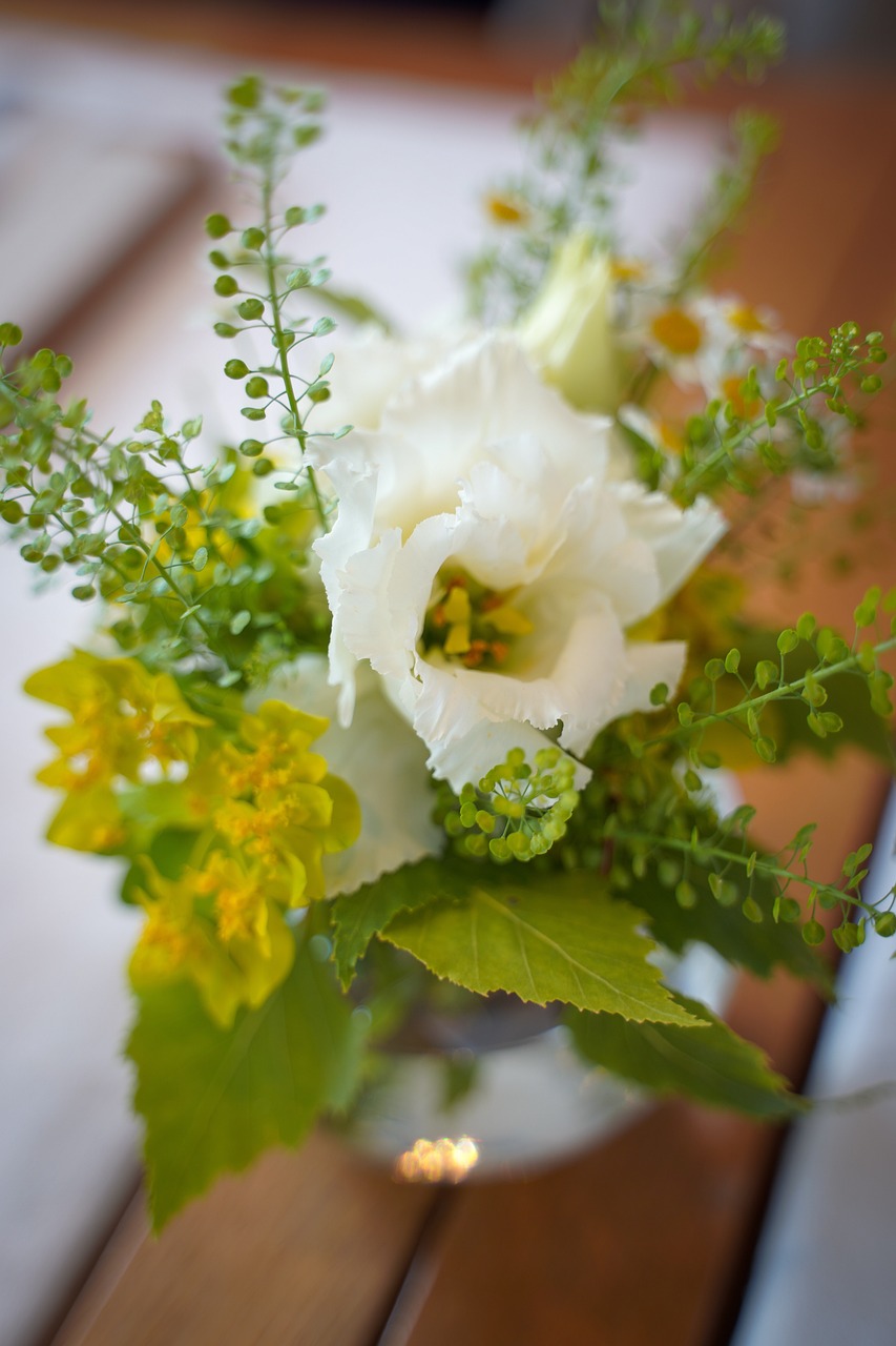 White flower, yellow and green.