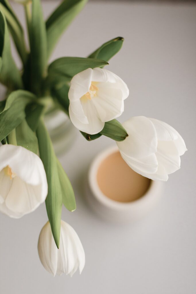 white tulips