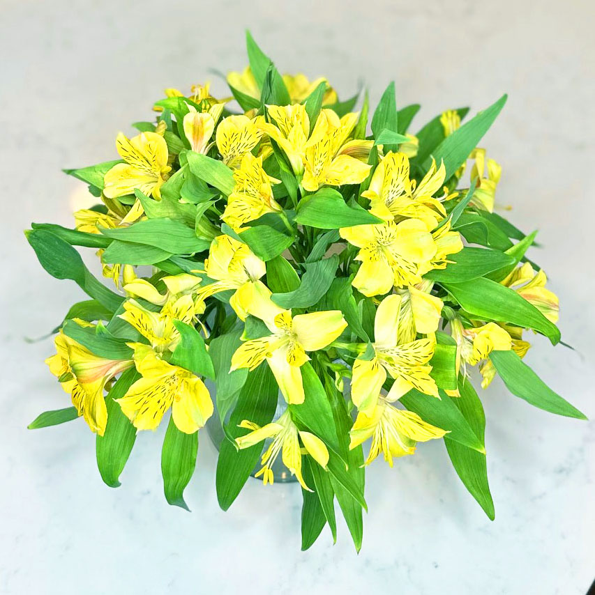 yellow lilies