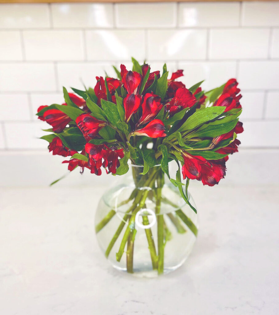 Red Alstroemeria in Balloon Vase, Red Peruvian Lilies, Single flower arrangement,