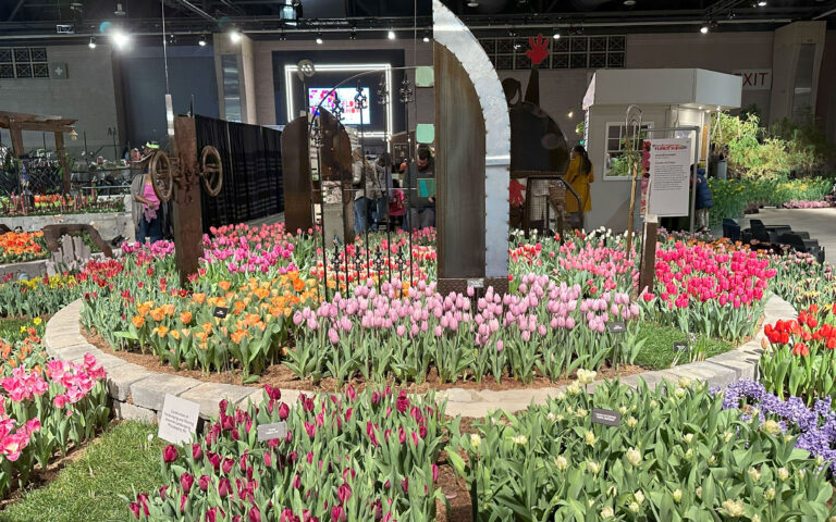 Jacques Amand Display, Circle of Color with Sculpture and multiple colors of Tulips