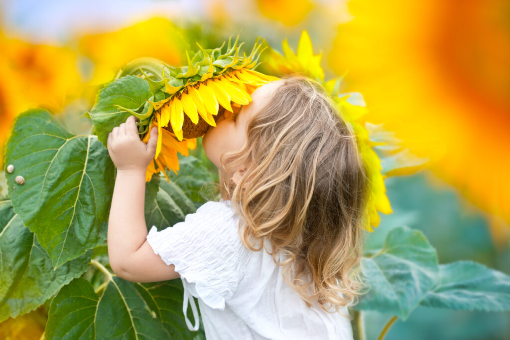 girl with face in sunflower