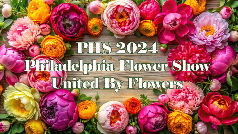 Vibrant peonies and ranunculus forming a heartwarming frame, rad, PHS 2024 Philadelphia Flower Show