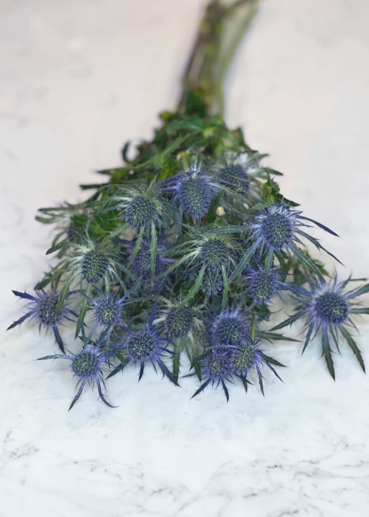 blue eryngium, holiday flower arrangement, 4th of July flowers, Flower arrangement for fourth of July