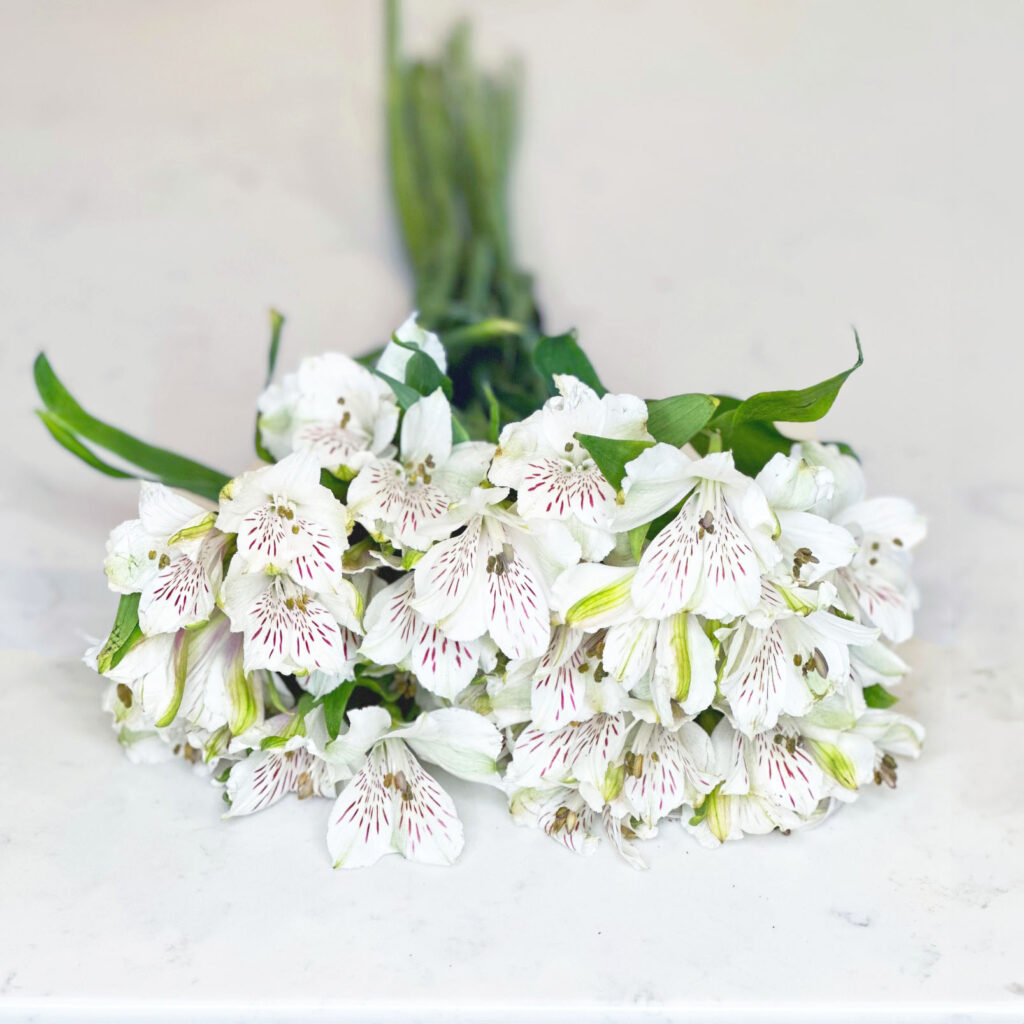 White Peruvian lilies, Alstroemeria, 4th of July flowers, 4th of July bouquet, Patriotic bouquet/flowers, home decor,