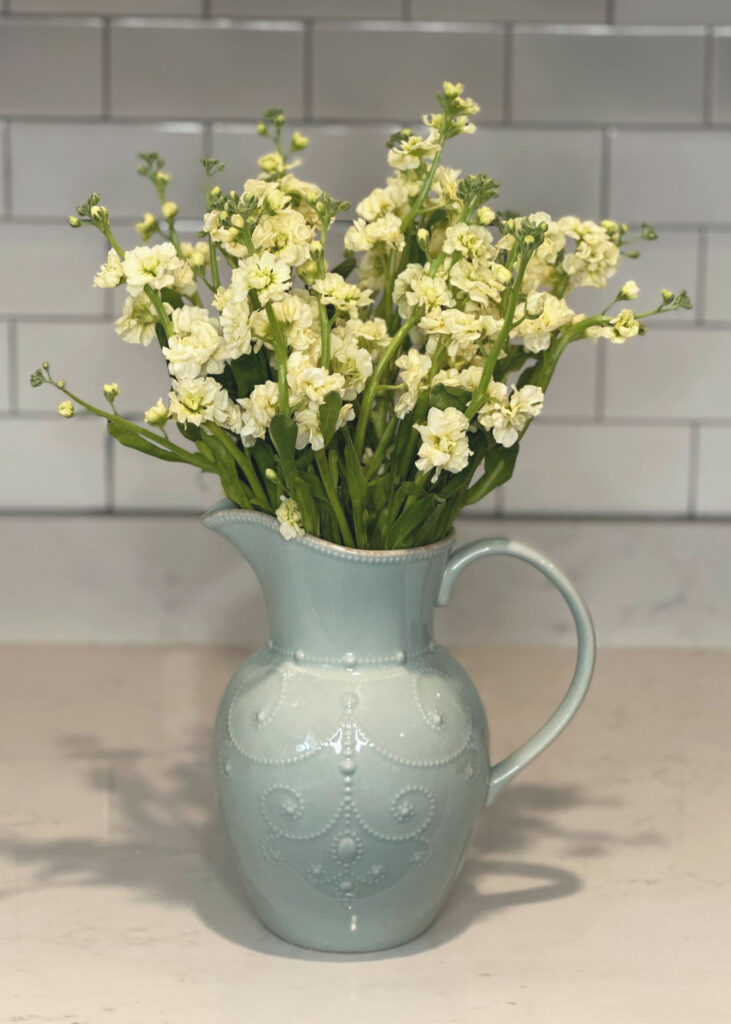 White stock flowers, light blue vase, blue pitcher vase, Lenox French Perle vase, floral arranging, floral accessories