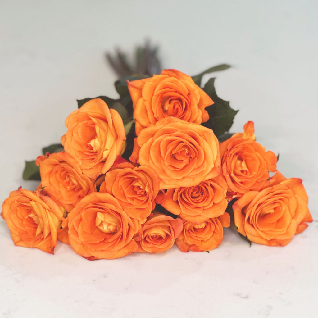 Orange Roses bouquet, summer and spring flowers, bright and cheerful bouquet