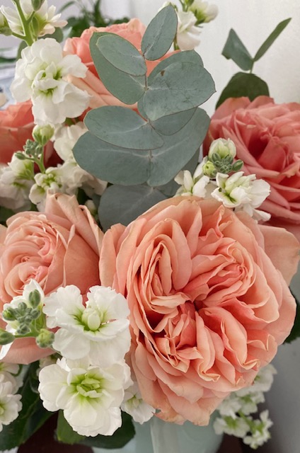 Pink garden roses, stock flower and eucalyptus